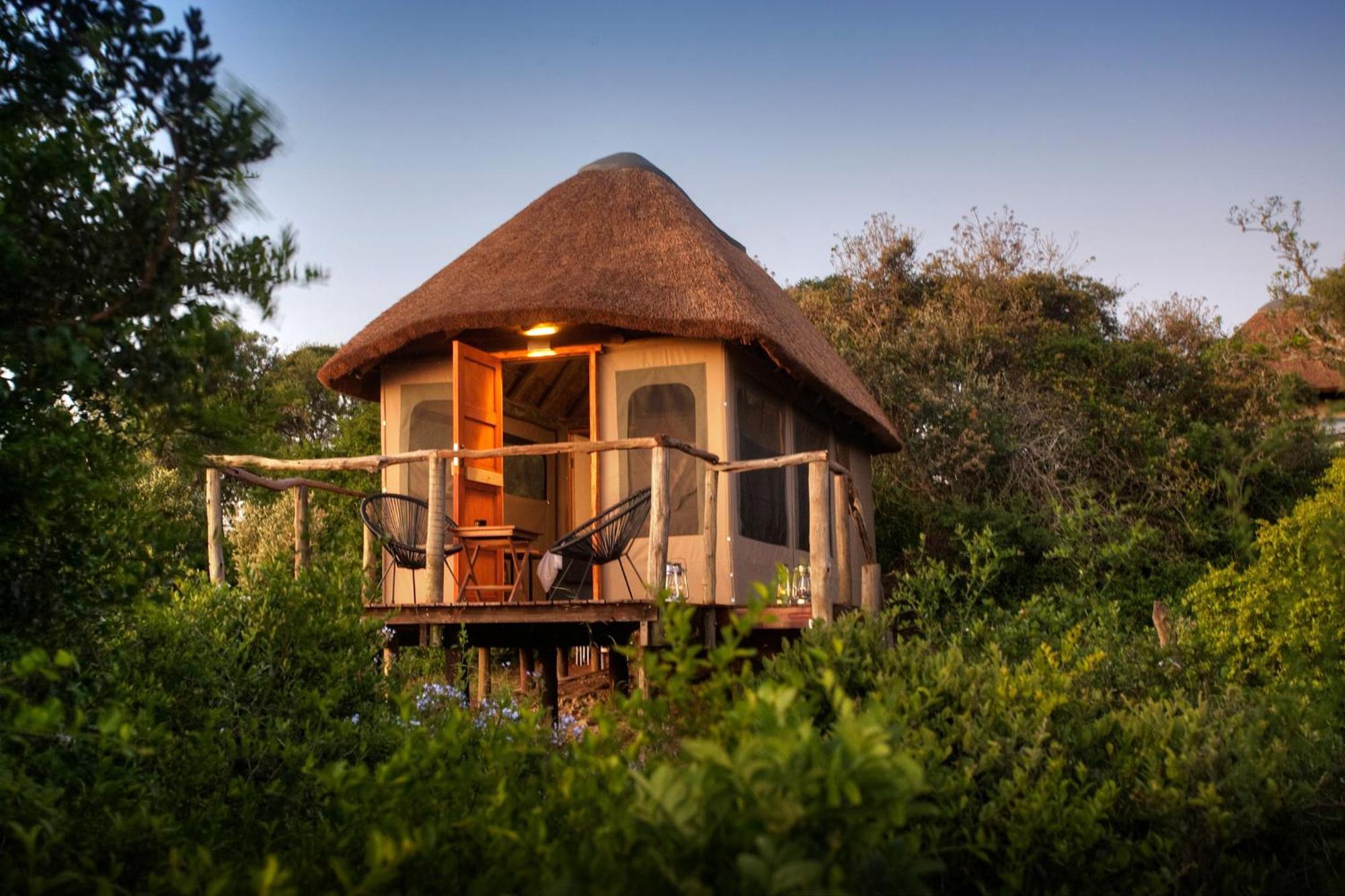 Addo Elephant Safari Lodge - Bellevue Forest Reserve Paterson Εξωτερικό φωτογραφία