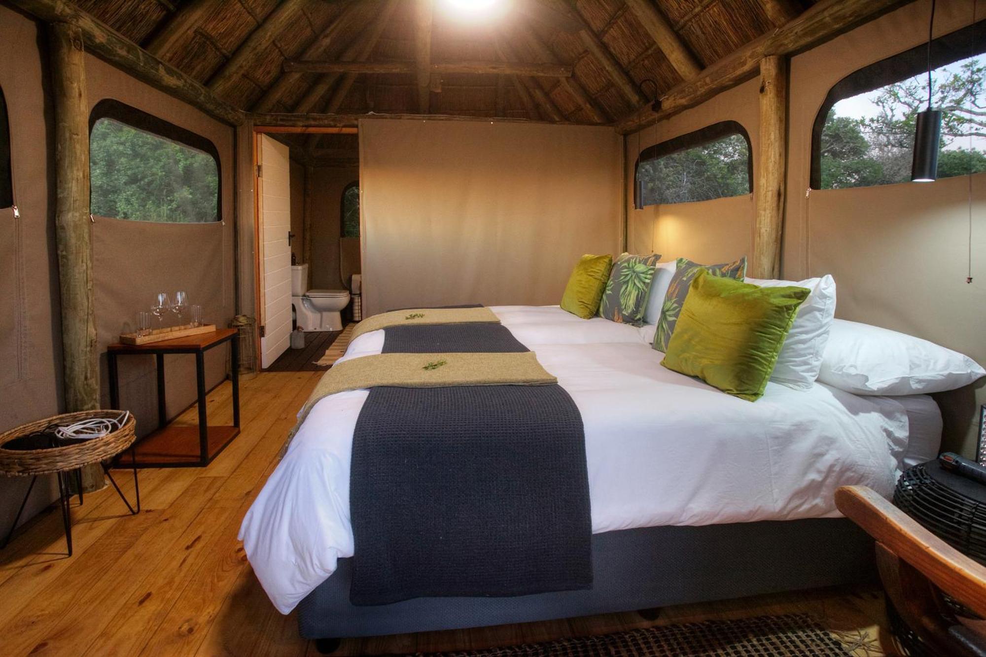 Addo Elephant Safari Lodge - Bellevue Forest Reserve Paterson Εξωτερικό φωτογραφία