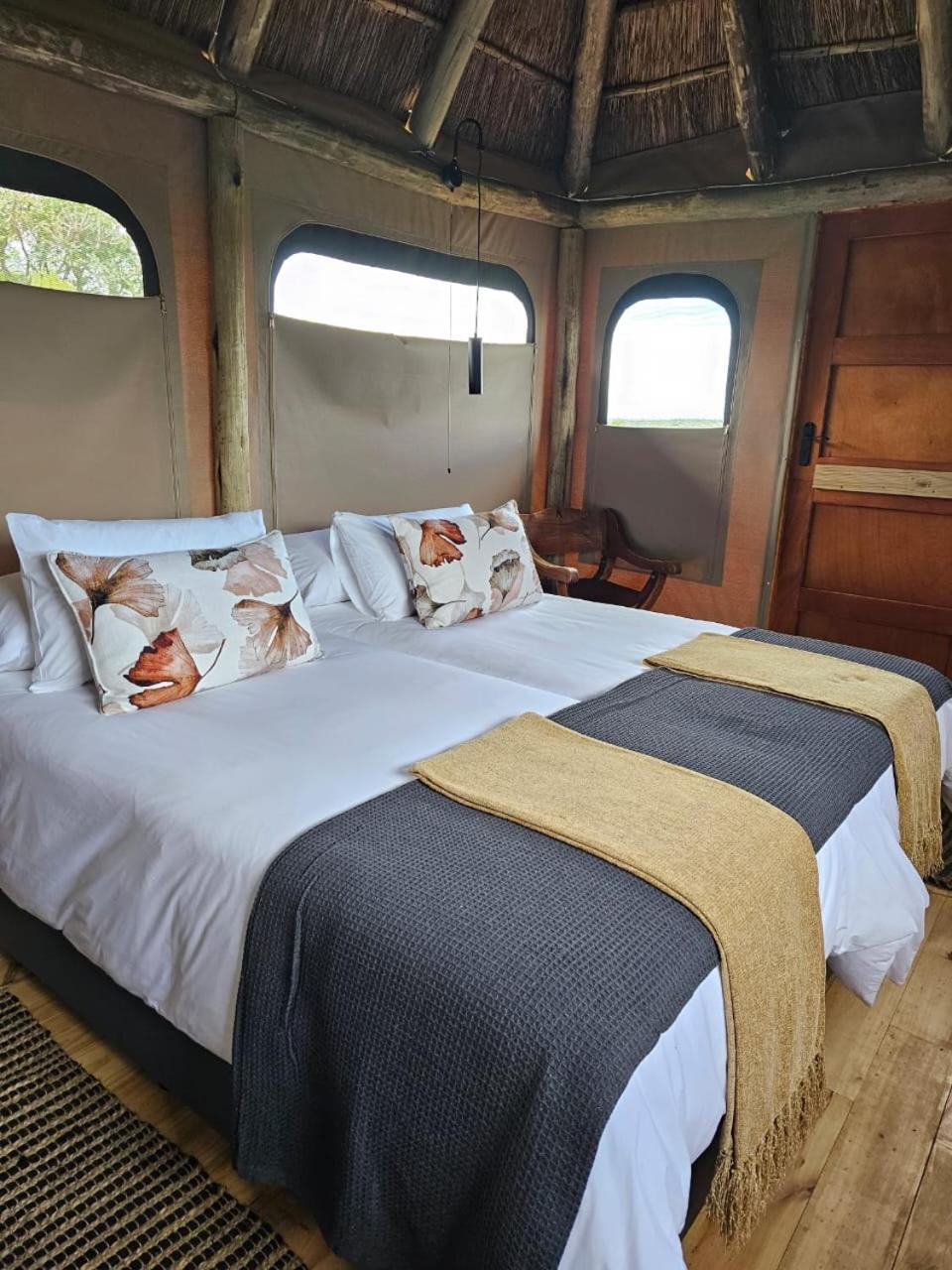 Addo Elephant Safari Lodge - Bellevue Forest Reserve Paterson Εξωτερικό φωτογραφία
