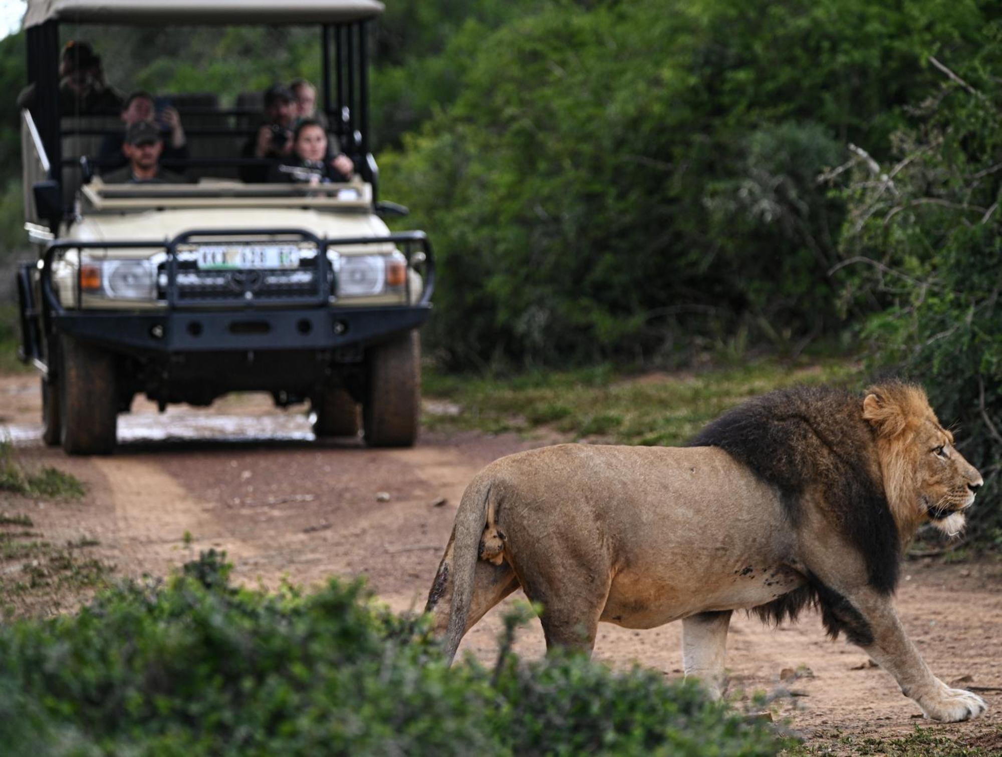 Addo Elephant Safari Lodge - Bellevue Forest Reserve Paterson Εξωτερικό φωτογραφία