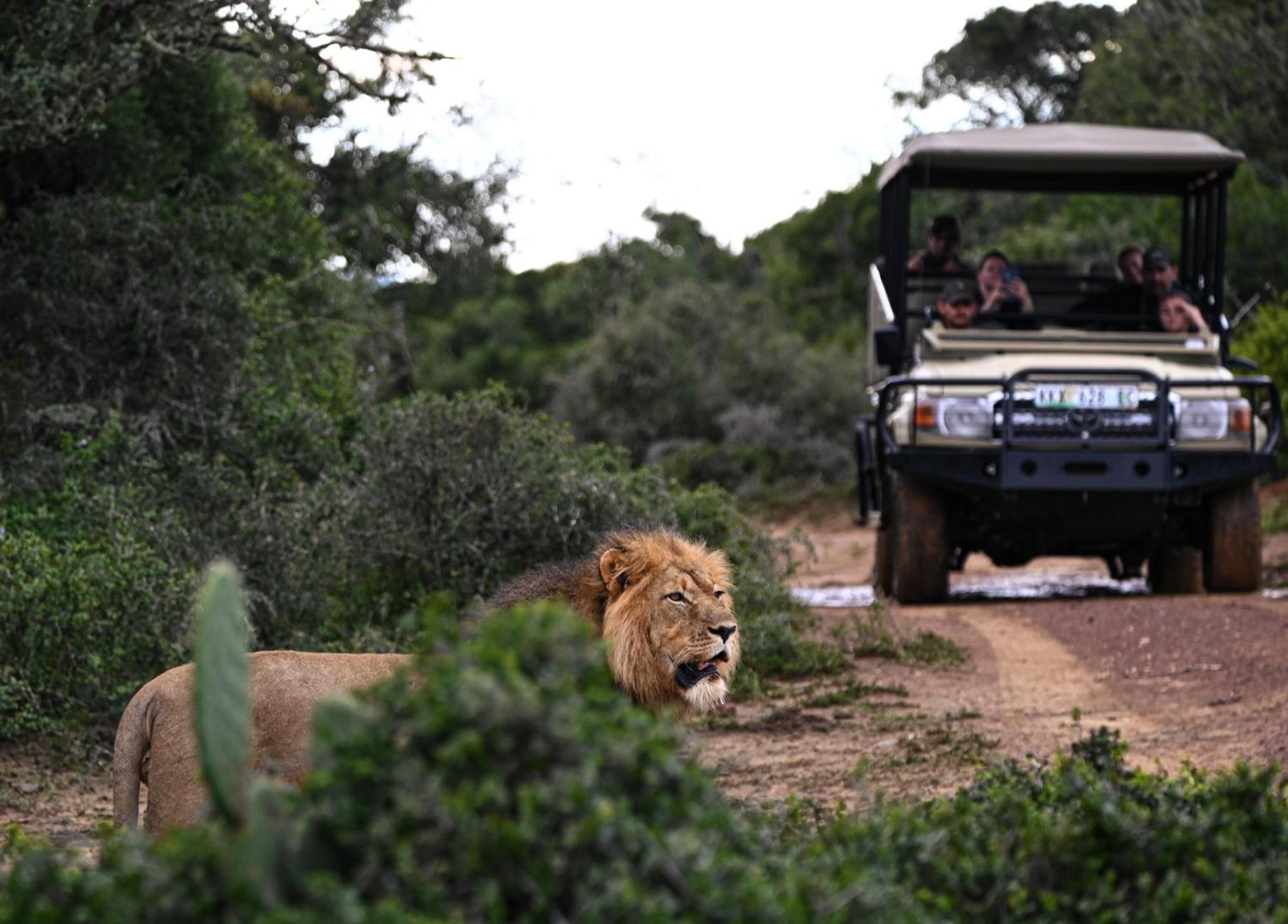 Addo Elephant Safari Lodge - Bellevue Forest Reserve Paterson Εξωτερικό φωτογραφία