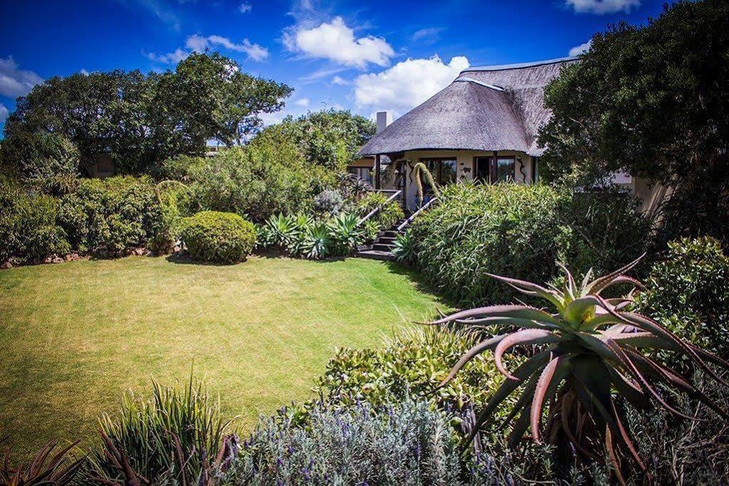 Addo Elephant Safari Lodge - Bellevue Forest Reserve Paterson Εξωτερικό φωτογραφία