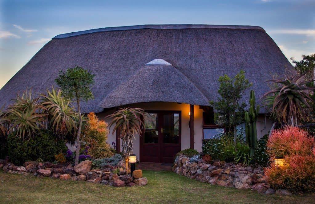 Addo Elephant Safari Lodge - Bellevue Forest Reserve Paterson Εξωτερικό φωτογραφία