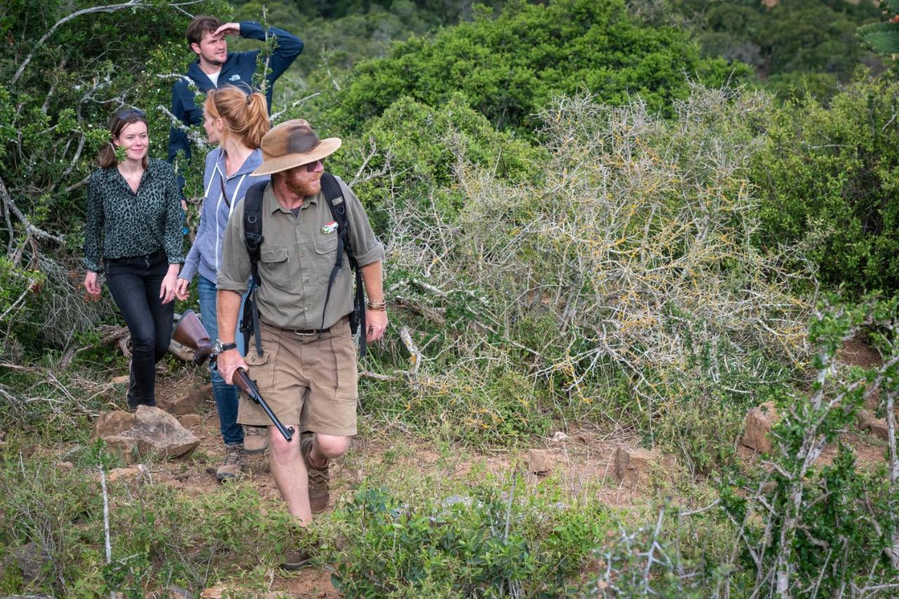 Addo Elephant Safari Lodge - Bellevue Forest Reserve Paterson Εξωτερικό φωτογραφία