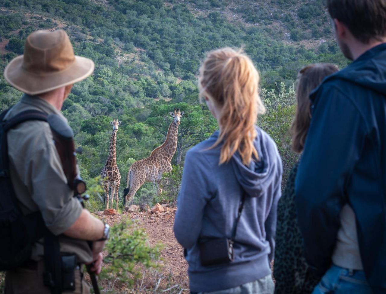 Addo Elephant Safari Lodge - Bellevue Forest Reserve Paterson Εξωτερικό φωτογραφία