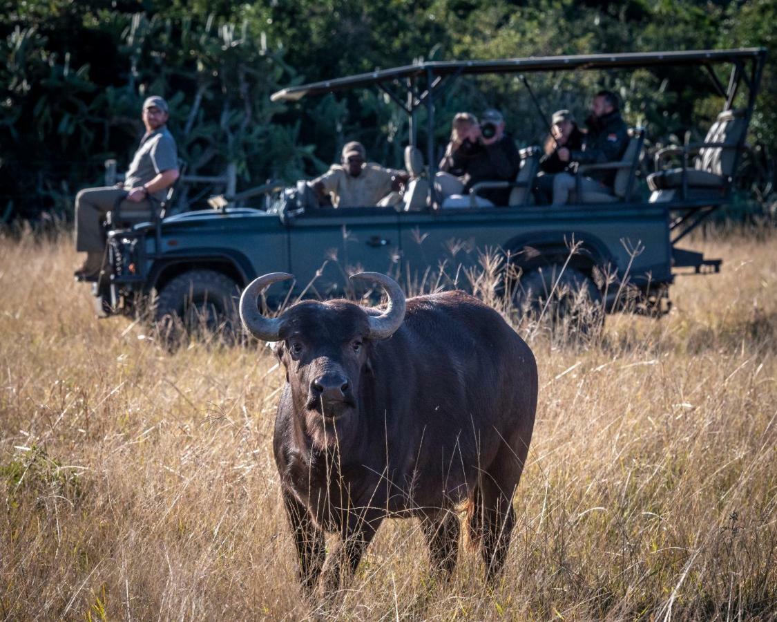Addo Elephant Safari Lodge - Bellevue Forest Reserve Paterson Εξωτερικό φωτογραφία