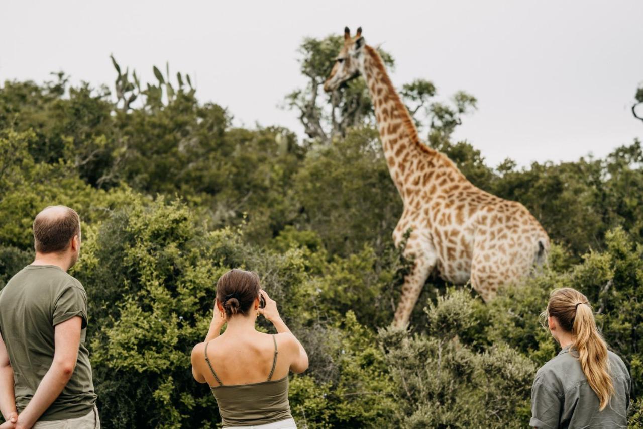 Addo Elephant Safari Lodge - Bellevue Forest Reserve Paterson Εξωτερικό φωτογραφία